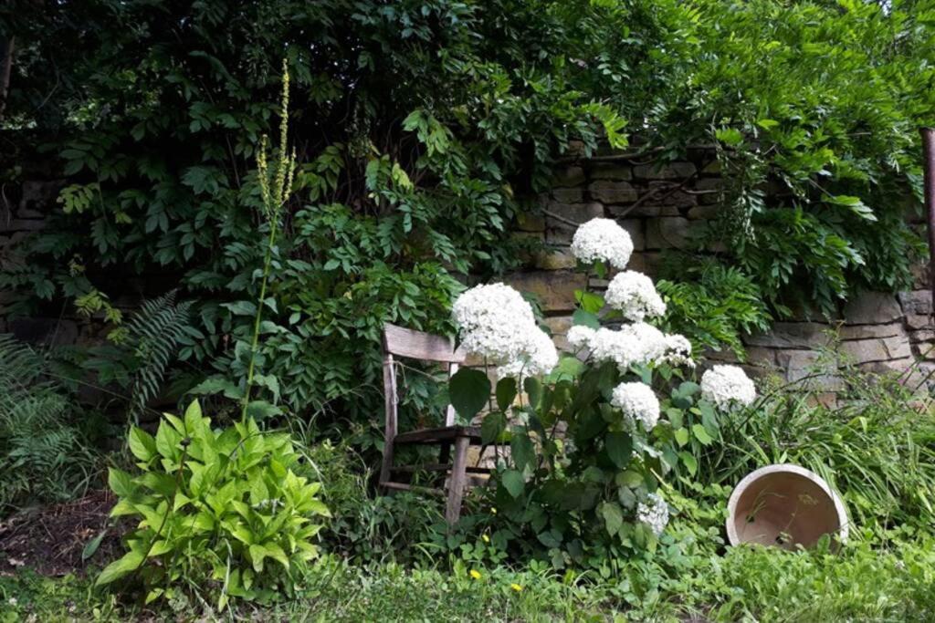 Eine Gemuetliche Ferienwohnung Mit Garten Bad Karlshafen Exterior photo